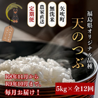 【発送月固定定期便】【2026年11月より順次発送予定】無洗米 天のつぶ5kg全12回