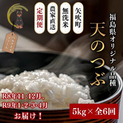 【発送月固定定期便】【2026年11月より順次発送予定】無洗米 天のつぶ5kg全6回