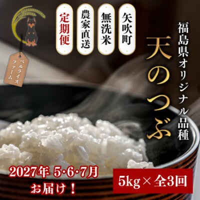 【発送月固定定期便】【2027年5月より順次発送予定】無洗米 農家直送 天のつぶ 5kg全3回
