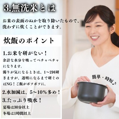 【発送月固定定期便】【2027年5月より順次発送予定】無洗米 農家直送 天のつぶ 5kg全3回