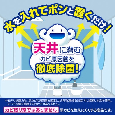 ルックプラス　おふろの防カビくん煙剤3種(フローラル/せっけん/消臭ミント)計9個セット(ライオン)