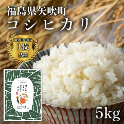 令和6年産米 コシヒカリ 【カブトエビと育むやぶきのお米】5kg(1kg×5袋)