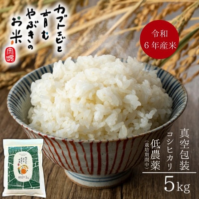 令和6年産米【栽培期間中農薬を減らした・真空包装】カブトエビと育むやぶきのお米 コシヒカリ 5kg