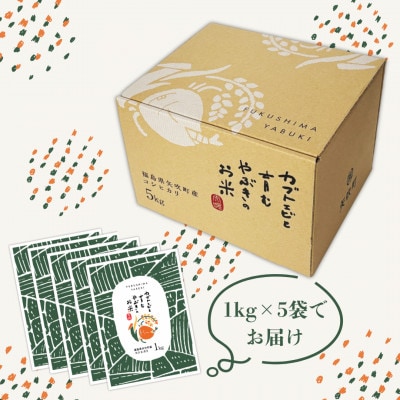 令和6年産米 コシヒカリ 【カブトエビと育むやぶきのお米】5kg(1kg×5袋)