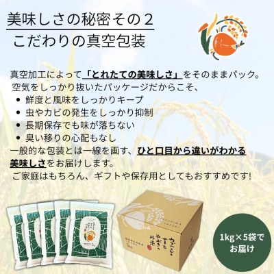 令和7年産米【真空包装】カブトエビと育む、栽培期間中農薬を減らしたやぶきのお米 コシヒカリ 5kg
