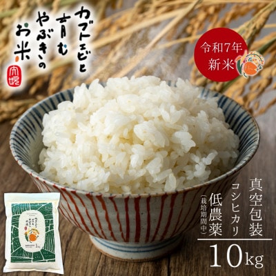 令和7年産米【栽培期間中の農薬削減・真空包装】カブトエビと育むやぶきのお米 コシヒカリ 10kg