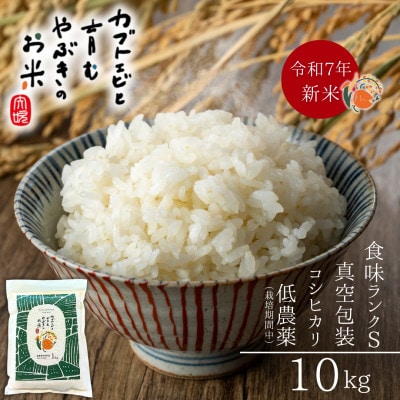 令和7年産米【栽培期間中の農薬削減・真空包装】カブトエビと育むやぶきのお米 コシヒカリ 10kg