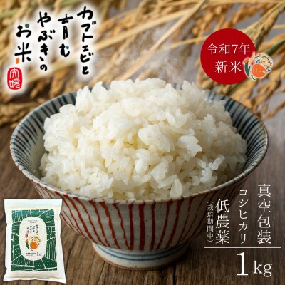 令和7年産米【真空包装】カブトエビと育む、栽培期間中農薬を減らしたやぶきのお米 コシヒカリ 1kg