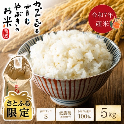【さとふる限定】令和7年産米 カブトエビと育む、栽培期間中農薬を減らしたやぶきのコシヒカリ 5kg