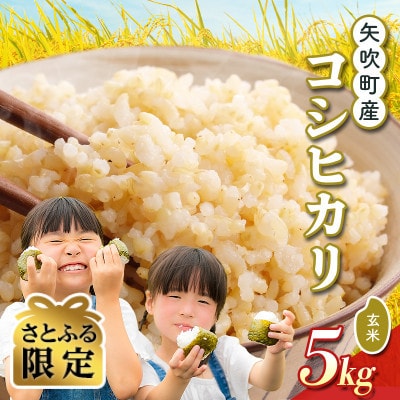 【さとふる限定】矢吹町産 コシヒカリ 令和7年産米 玄米5kg