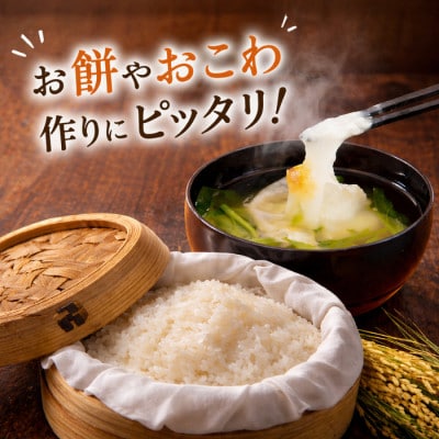 【さとふる限定】【国産こがねもち】精米 もち米 5kg 赤飯・おこわ・お餅用 福島県 矢吹町