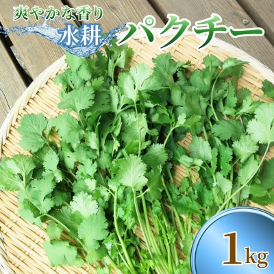 さわやかな香りの水耕パクチー 1kg