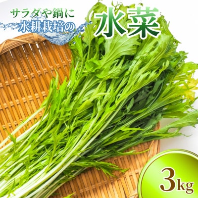 サラダや鍋に!水耕栽培の水菜 3kg