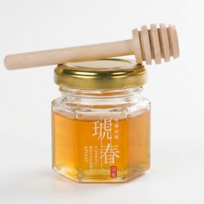 最上級のおいしさ　日本みつばちの生はちみつ「琥春」小瓶　サイズ40ml×1瓶　ミニハニーディッパー付
