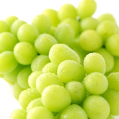 【2022年発送】【信州須坂】 人気のシャインマスカット 約5kg【信州グルメ市場】