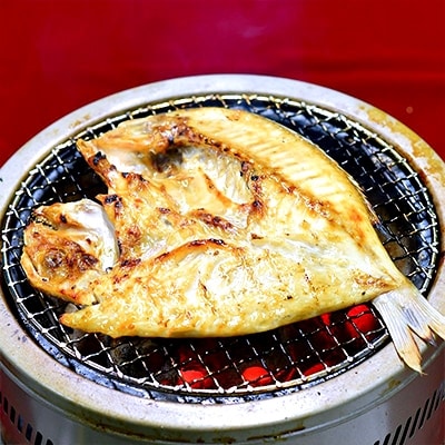 唐津産【無添加・無着色】旬のふっくら干物三昧セット