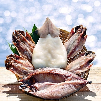 唐津産【無添加・無着色】岩本商店　旬の人気干物食べ比べセット