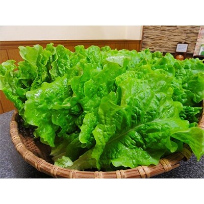 【にくまさdeふるさと応援】店長おすすめお食事ご招待L