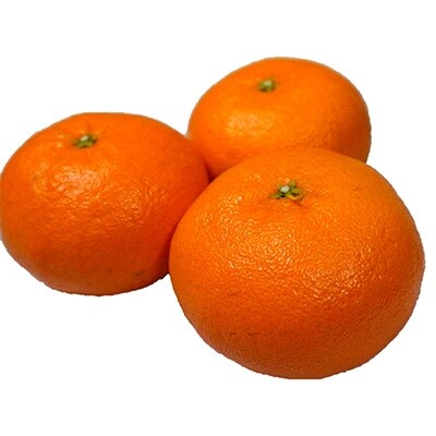 谷川果樹園の西南の光【2.5kg】【W-8】
