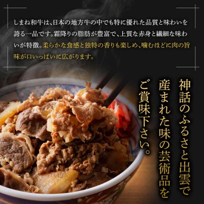 藤増 しまね和牛小間切り 600g【冷凍】