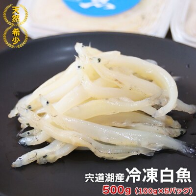 宍道湖産冷凍白魚【1-007】