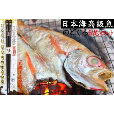 日本海高級魚のどぐろ5尾(しめ縄干支箸付)【1-018】