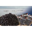 ぷっくり大きな身!食べて美味しい!神西湖産大和しじみ【1-019】