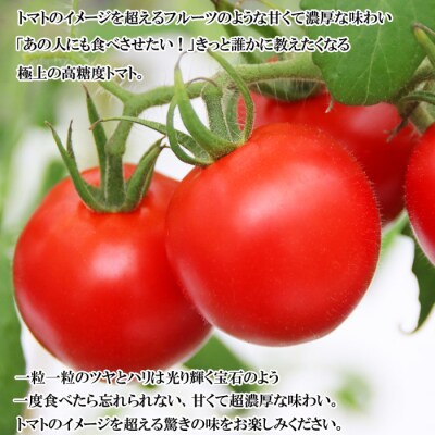 出雲の國からの贈り物～トマトを超えた超トマト3kg【3_3-006】