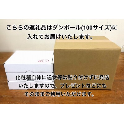 出雲の國からの贈り物～トマトを超えた超トマト3kg【3_3-006】