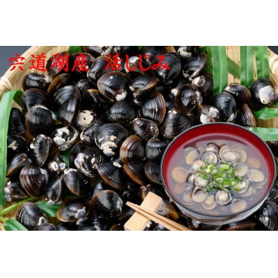 日本海一夜干しと宍道湖しじみ(しめ縄干支箸付)【1_1-062】