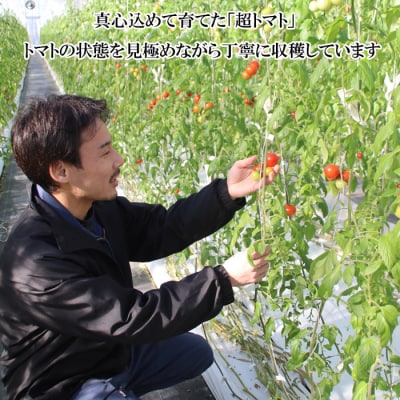 出雲の國からの贈り物～トマトを超えた超トマト2kg【2_4-006】