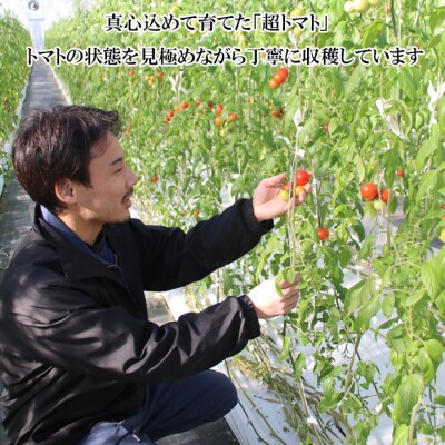 出雲の國からの贈り物～トマトを超えた超トマト2kg【2_4-006】