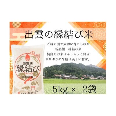【出雲のご縁】出雲産縁結び米　5kg×2袋【2-043】