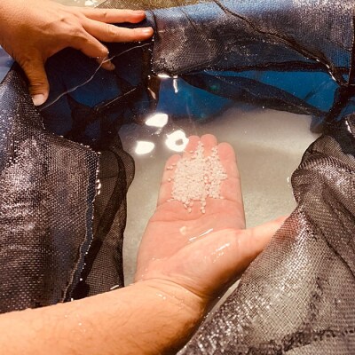 出雲富士　純米大吟醸・大吟醸720ml2本セット