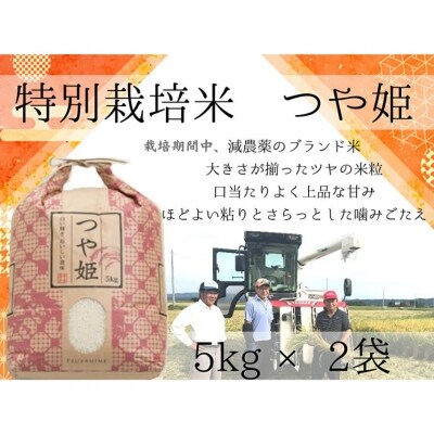 【特別栽培米で栽培期間中、減農薬】出雲産つや姫　5kg×2袋【2-041】
