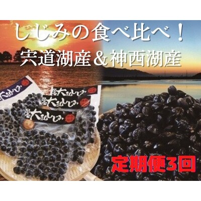 しじみの食べ比べ!宍道湖産&神西湖産<3回定期便>【3-051】