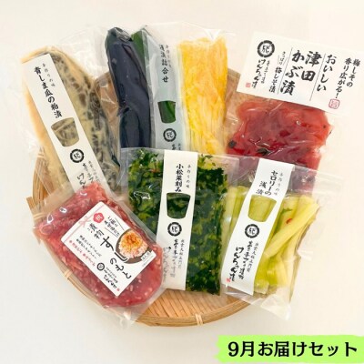 出雲漬物【3か月定期便】季節の詰合せセット(7～9月)