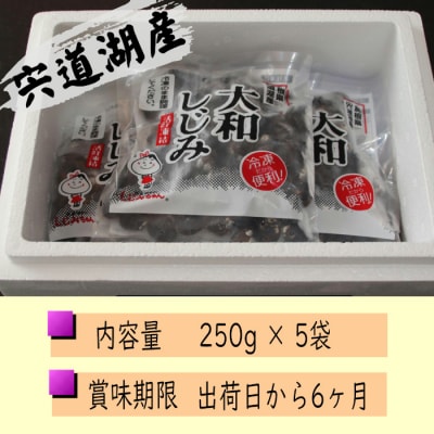 宍道湖産冷凍しじみ【1-028】