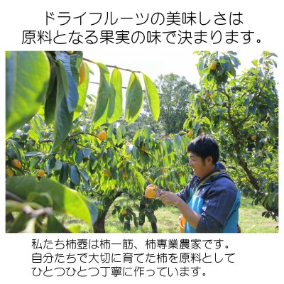 【柿専業の農家が作る】出雲産甘柿のドライフルーツ