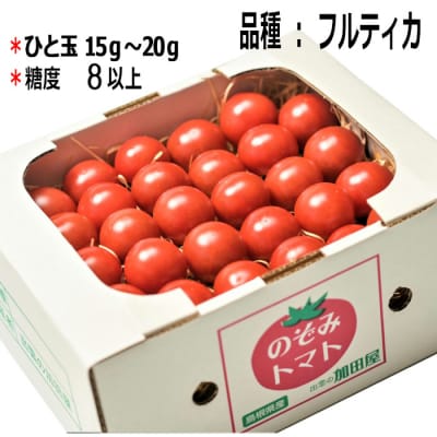 【定期便3回】出雲からの希トマト糖度8～10をお届け!