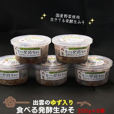 出雲のゆず入り食べる発酵生みそ250g×5個