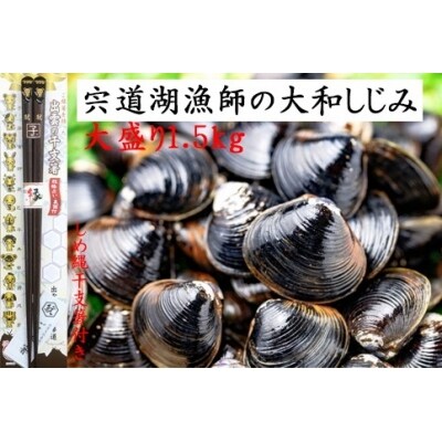 宍道湖漁師の大盛Lサイズ1.5kg大和しじみ(しめ縄干支箸付)【1-043】
