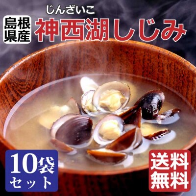神西湖しじみ100g×10Pセット(常温)【1_4-020】