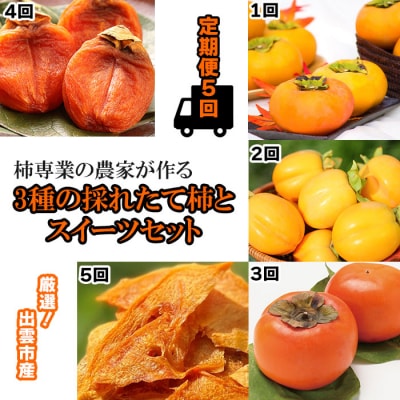 (定期便)【柿専業の農家が作る】3種の採れたて柿とスイーツセット【6-012】