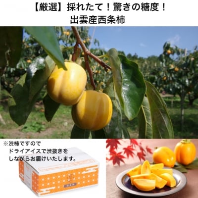 (定期便)【柿専業の農家が作る】3種の採れたて柿とスイーツセット【6-012】