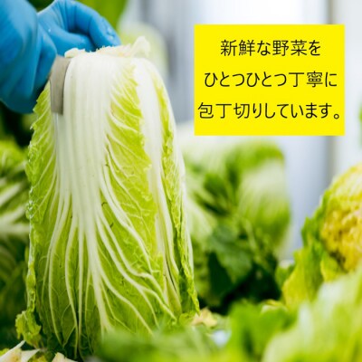 【11月～1月中旬限定!】出雲漬物おすすめ6品セット