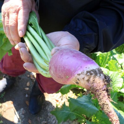 【11月～1月中旬限定!】出雲漬物おすすめ6品セット