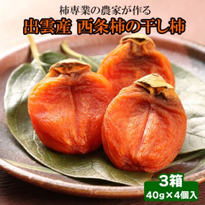 【柿専業の農家が作る】出雲産西条柿の干し柿【1_2-059】