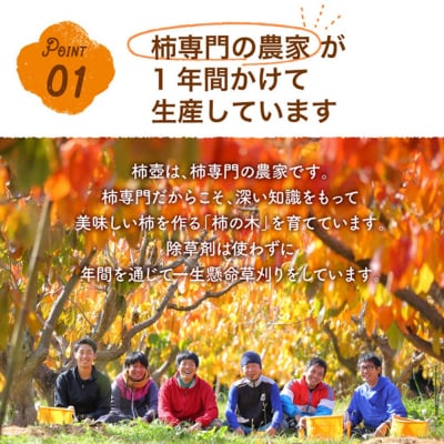【柿専業の農家が作る】出雲産西条柿の干し柿【1_2-059】