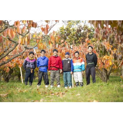 【柿専業の農家が作る】出雲産西条柿の干し柿【1_2-059】